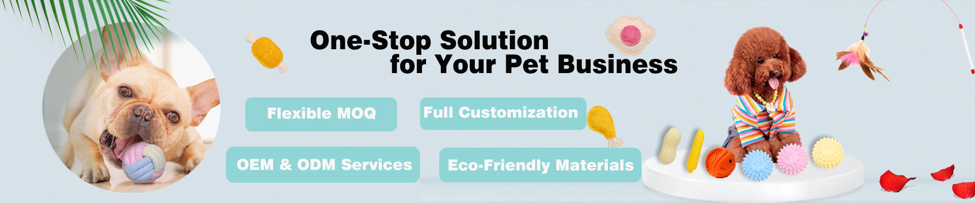 Wholesale pet toys and accessories