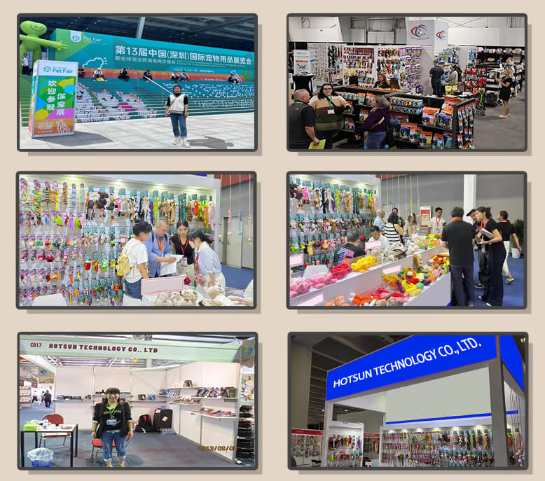 Our Exhibitions