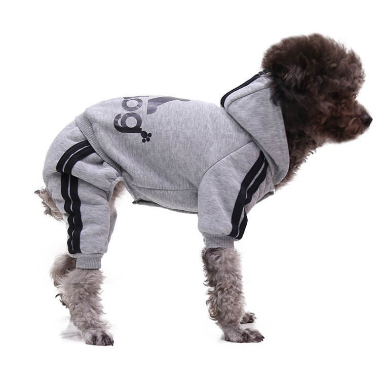 Autumn and Winter Cat and Dog HOTS-PLC002-14
