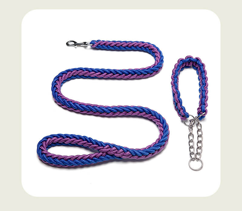 Running Training for Pet Pets HOTS-PL001-23