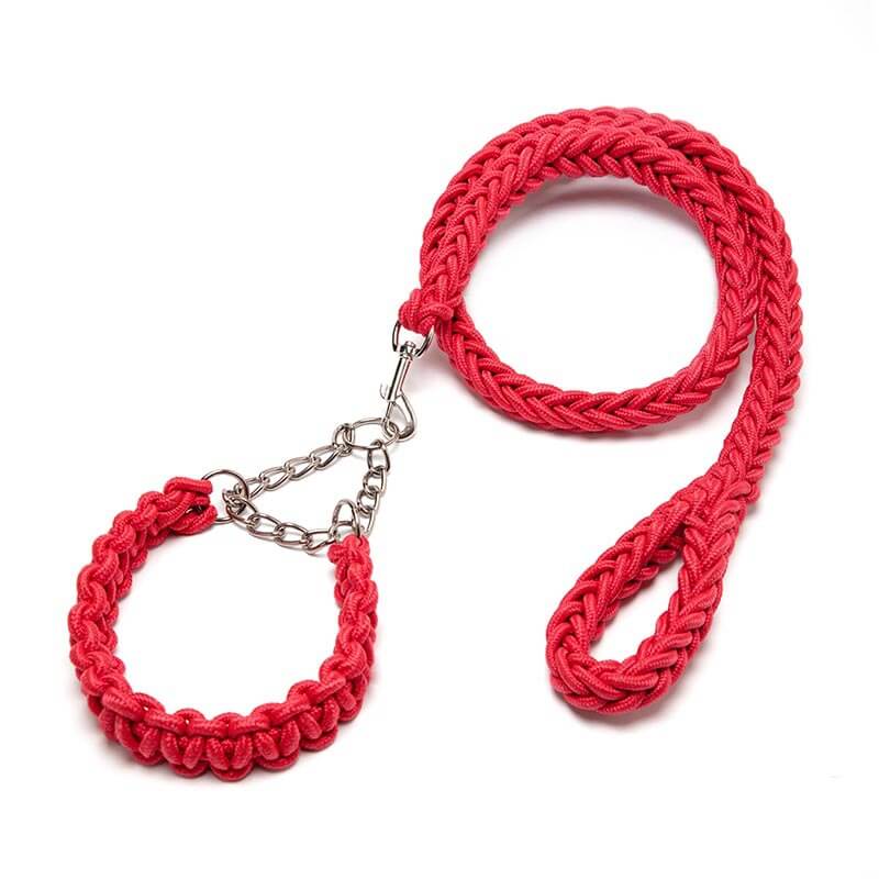 Running Training for Pet Pets HOTS-PL001-28