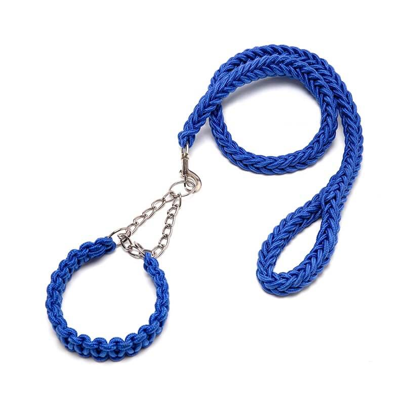 Running Training for Pet Pets HOTS-PL001-29