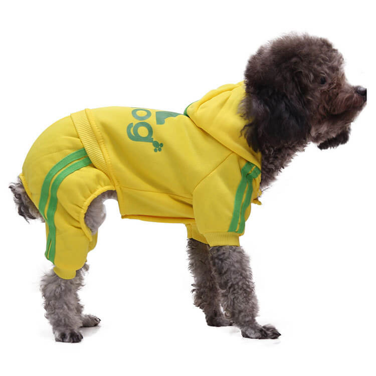Autumn and Winter Cat and Dog HOTS-PLC002-258