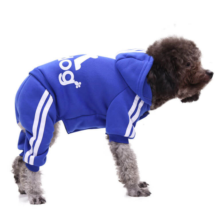 Autumn and Winter Cat and Dog HOTS-PLC002-260