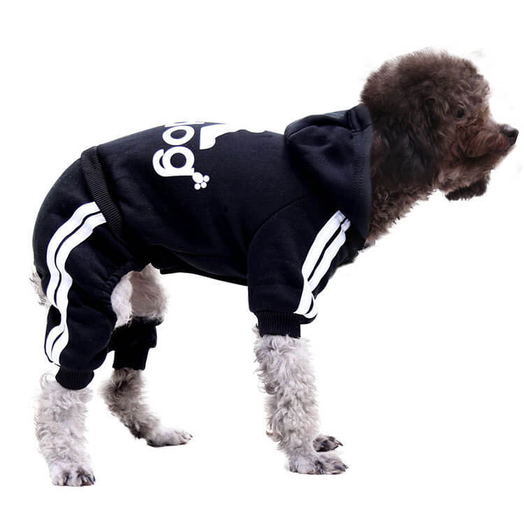 Autumn and Winter Cat and Dog HOTS-PLC002-261
