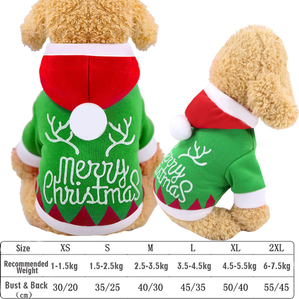 Autumn and Winter Cat and Dog HOTS-PLC001-268