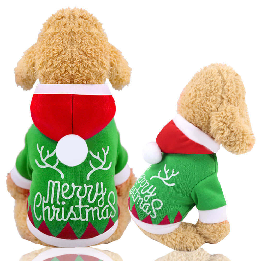 Autumn and Winter Cat and Dog HOTS-PLC001-268