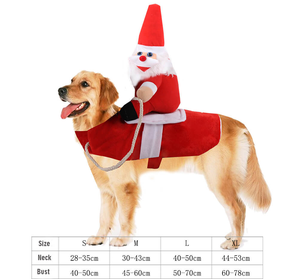 Autumn and Winter Cat and Dog HOTS-PLC001-274