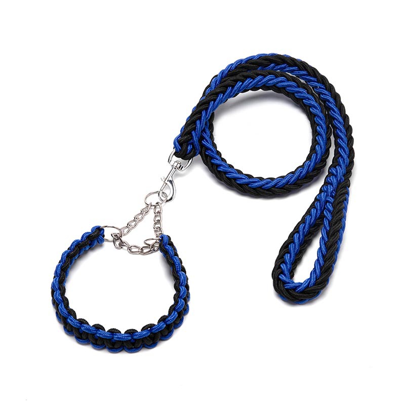 Running Training for Pet Pets HOTS-PL001-286